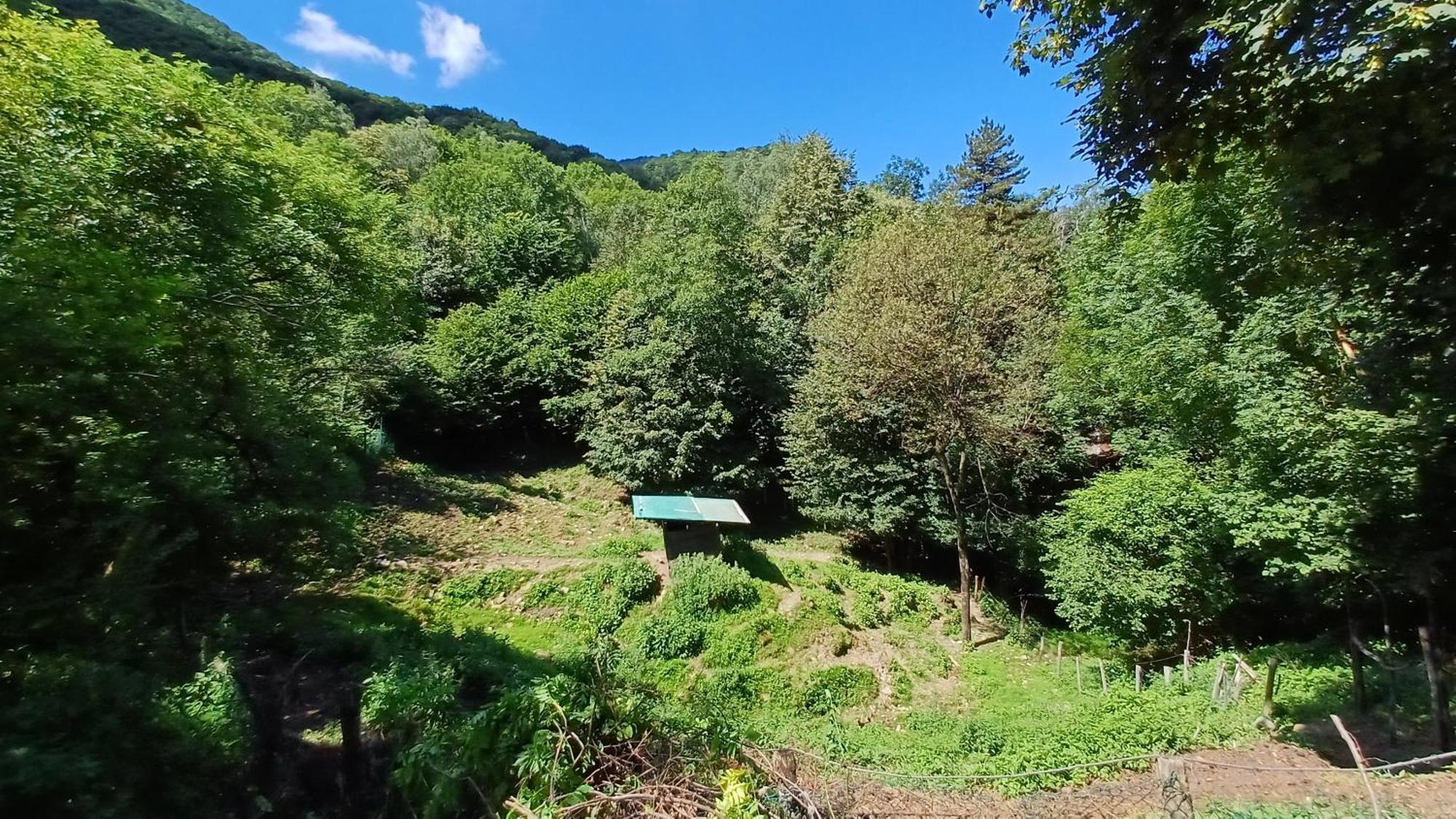 Appartamento La Stanza Del Bosco Arcumeggia Esterno foto
