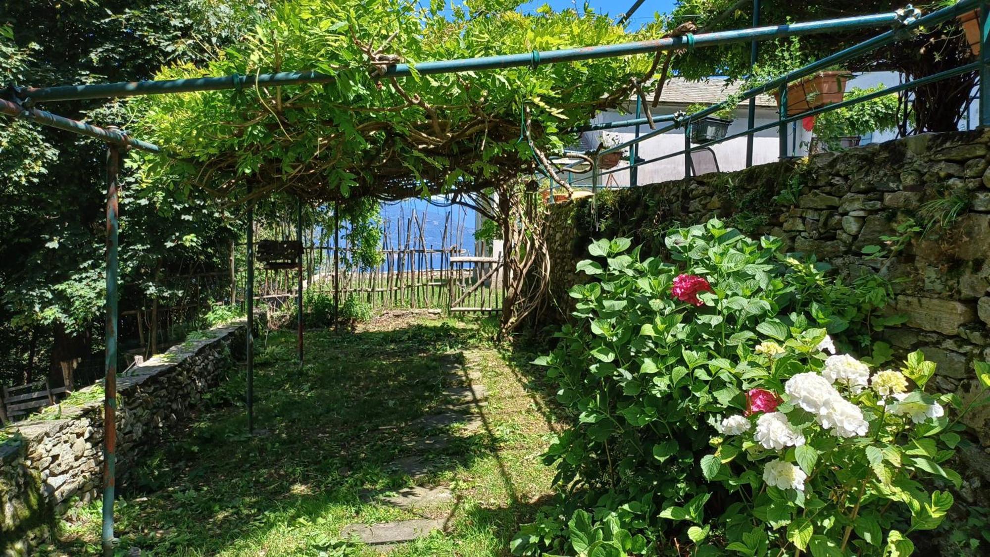 Appartamento La Stanza Del Bosco Arcumeggia Esterno foto