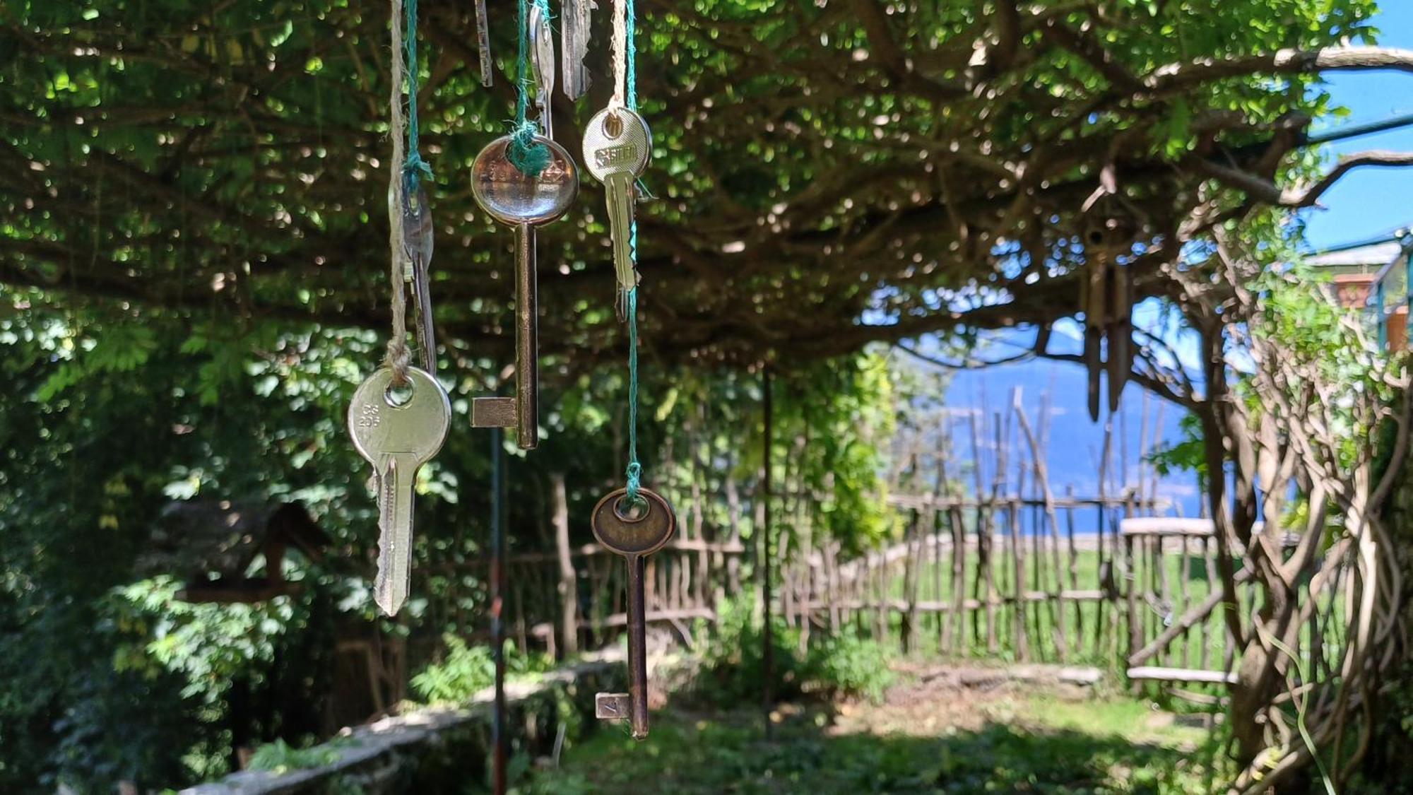 Appartamento La Stanza Del Bosco Arcumeggia Esterno foto